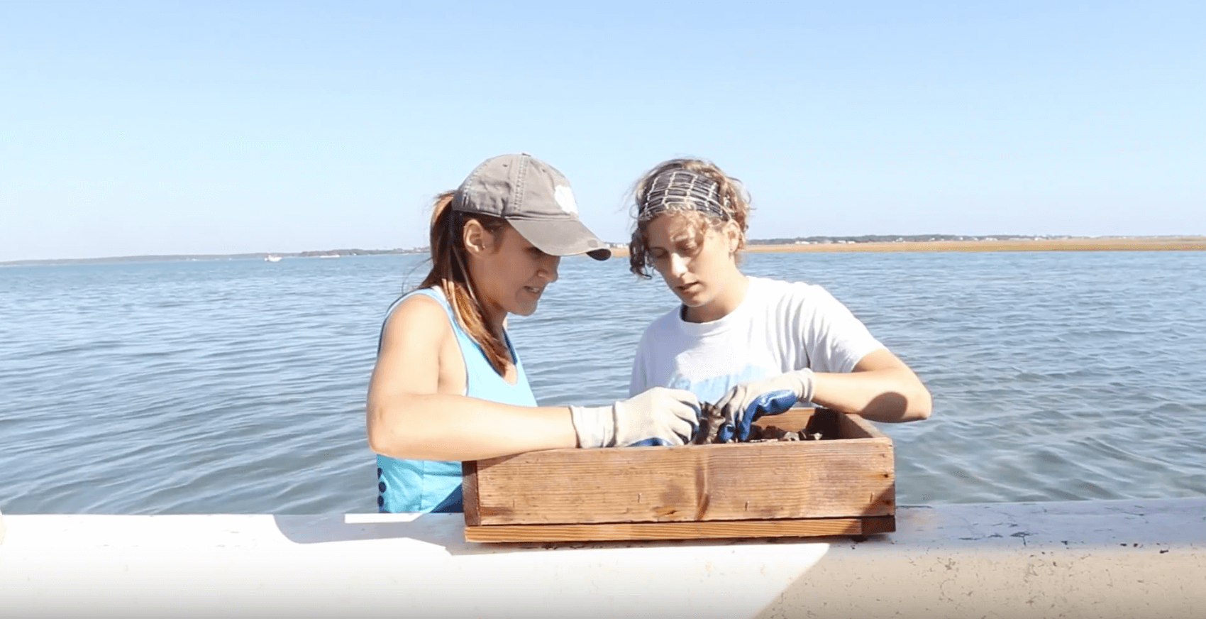 Carrie Hamilton and fellow student investigate a box of marine wildlife while standing in the water beside a boat.