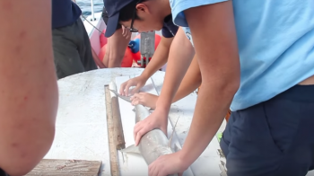 Carolina students tag and measure a shark on a boat in the ocean.