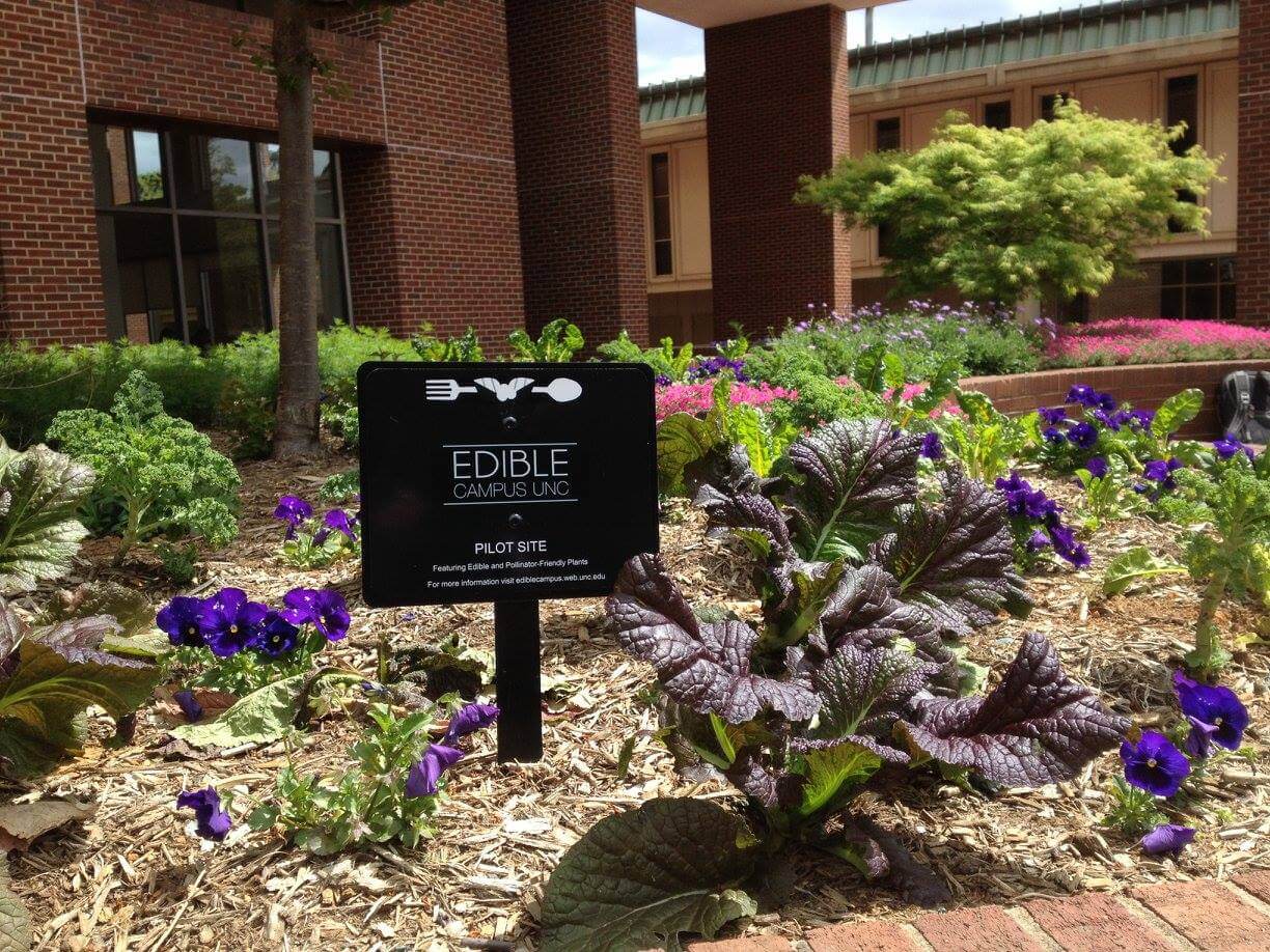 One of the edible gardens is displayed.