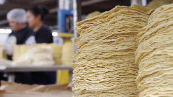 A stack of tortillas in a factory.