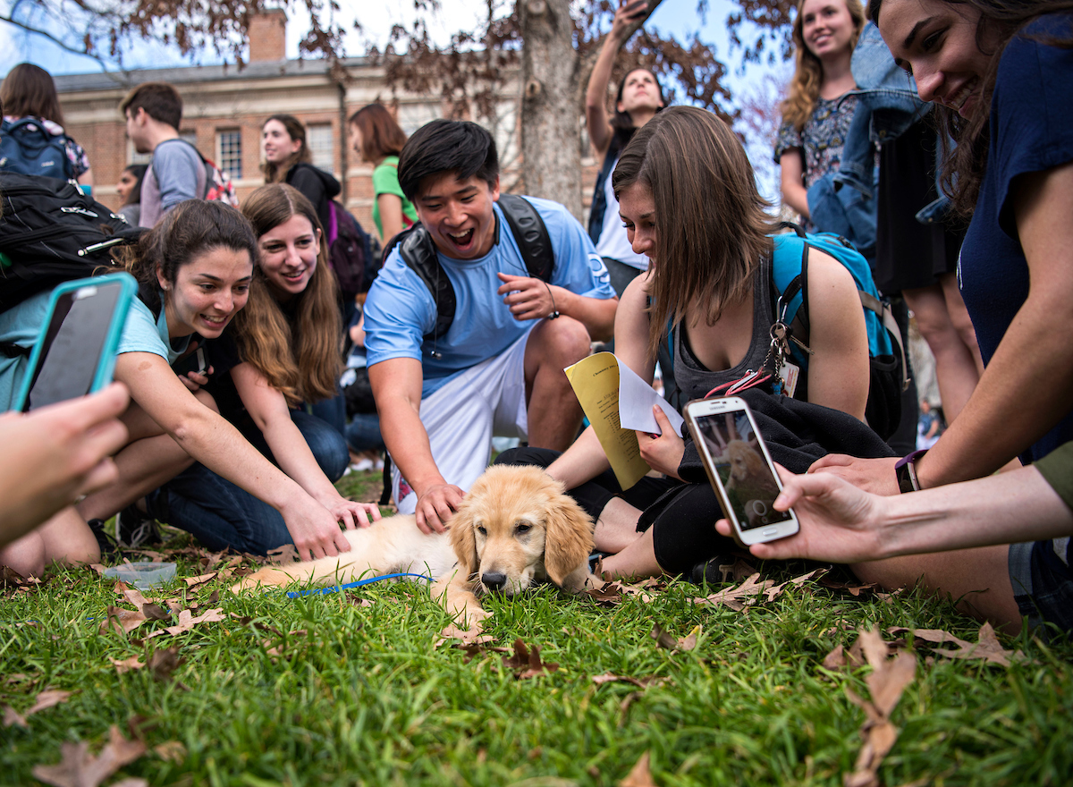 are dogs allowed at university of north carolina