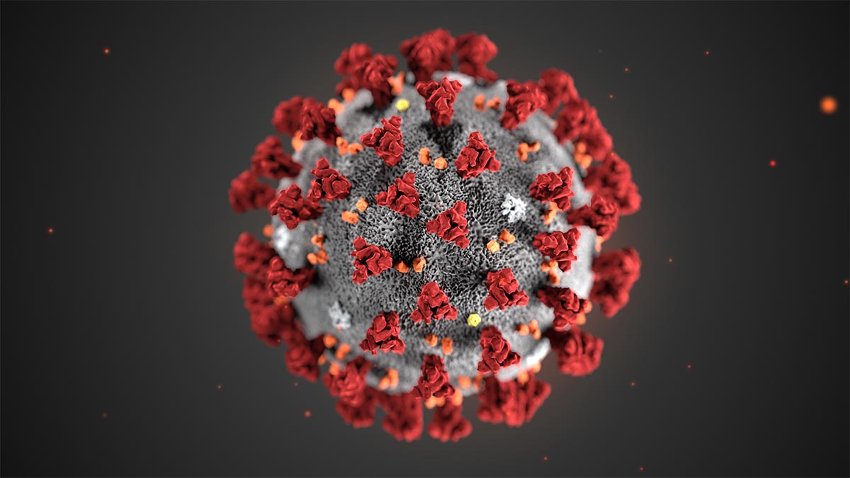 Am image of the coronavirus