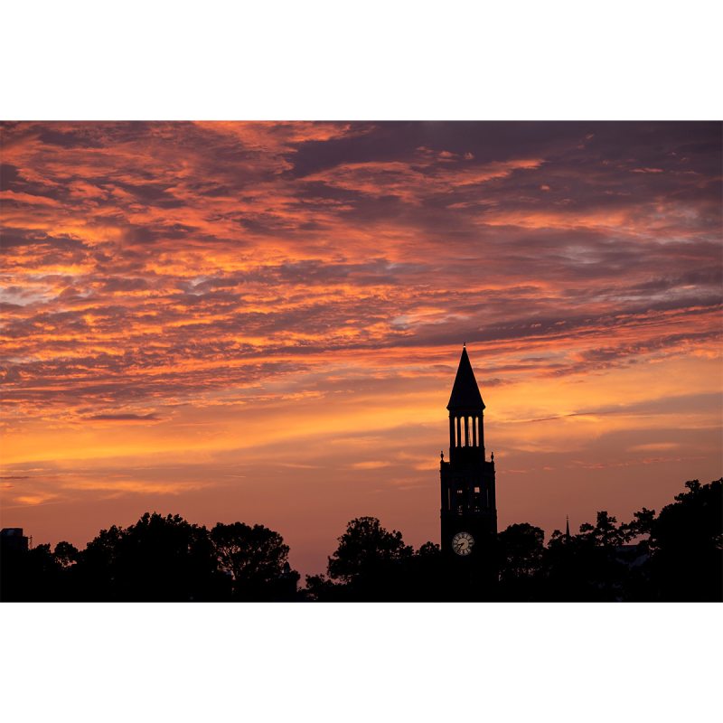 Morehead-Patterson Bell Tower on the campus of UNC-Chapel Hill at sunset
