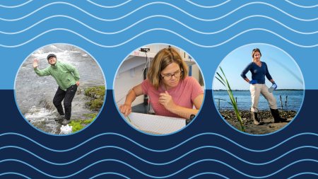 Photos of Xiao-Ming Liu standing near a stream; Rachel Nye scooping through water with a net; Rachel Noble standing near an estuary with water flowing behind her.