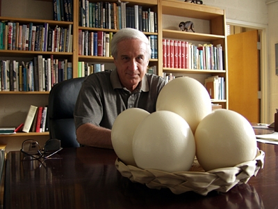 Alan Feduccia with ostrich eggs on his desk. Photo by Jason Smith of UNC Endeavors.