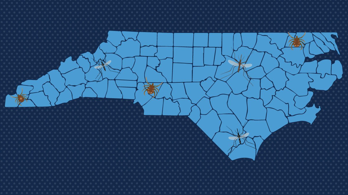 Map of North Carolina with ticks, bugs and mosquitos overlayed.