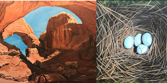 paintings of the Arches National Park and a bird nest with eggs