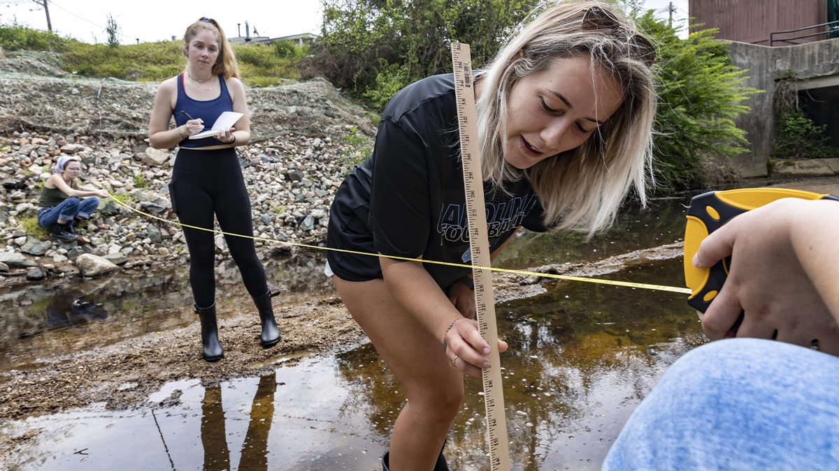 Students from Carolina’s Sustainable Triangle Field Site measure water levels and gather data.