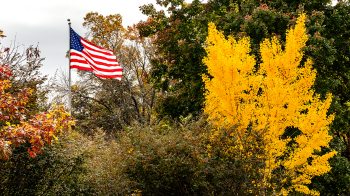 Flag with fall trees