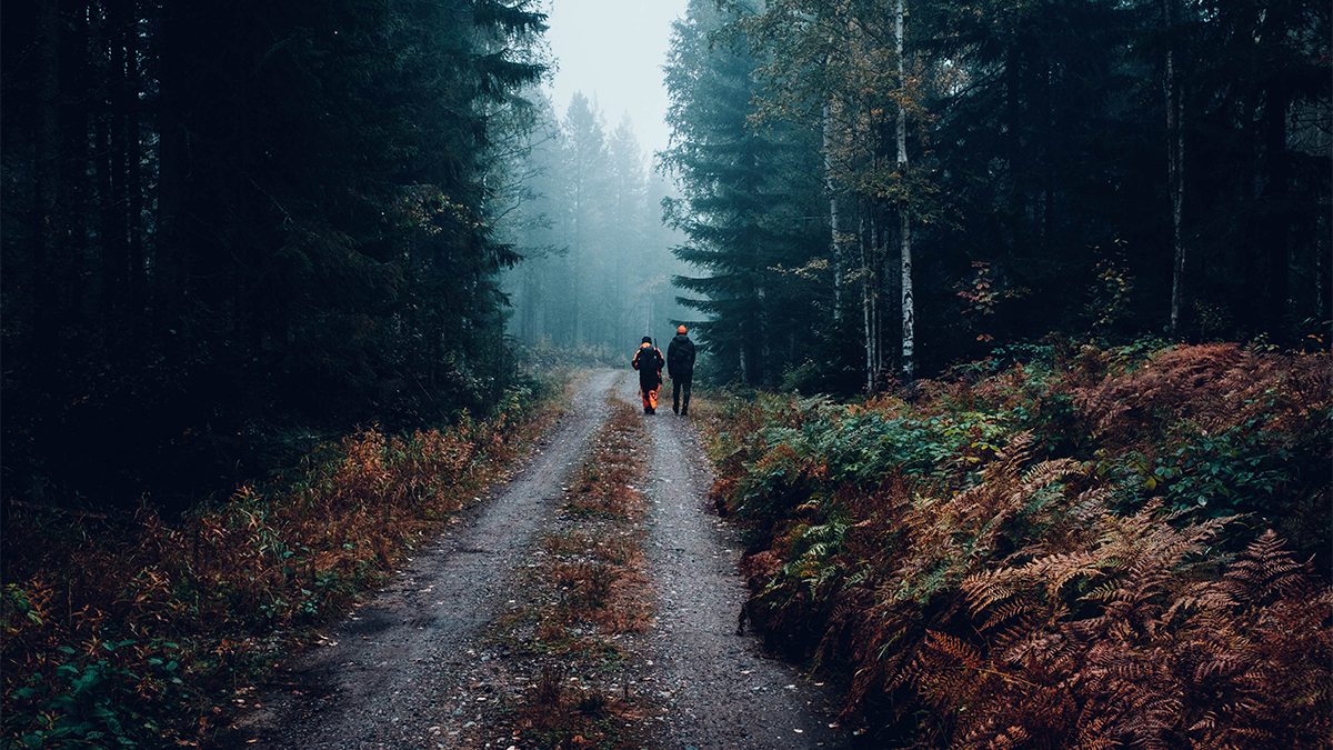 Two hunters, seen from behind, walk into a foggy forest.