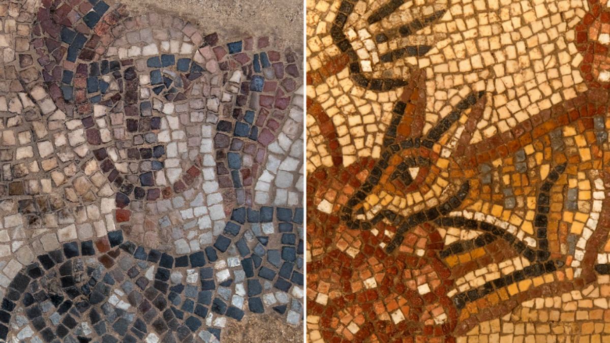 Split graphic showing ancient Jewish mosaics