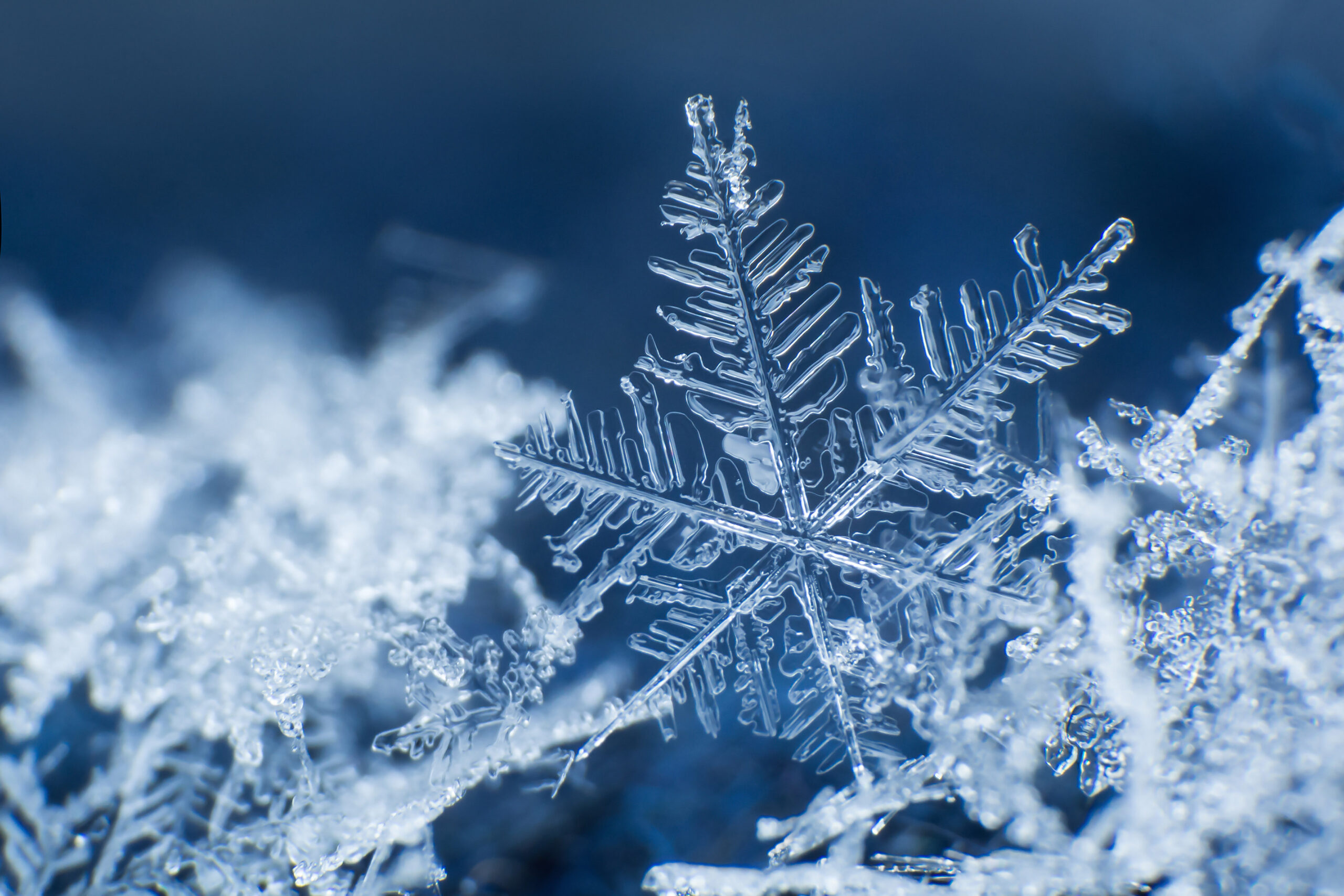The science and poetry of snowflakes | UNC-Chapel Hill