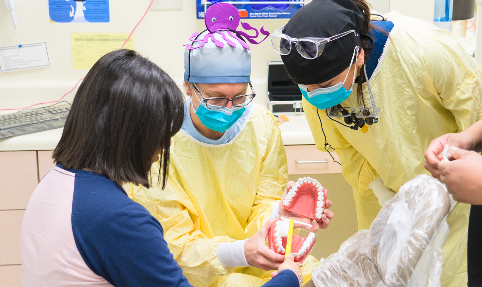 Dentist showing patient a model of a human mouth.