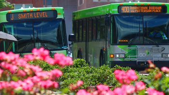 Two green busses sitting next to each other during the daytime at Carolina campus.