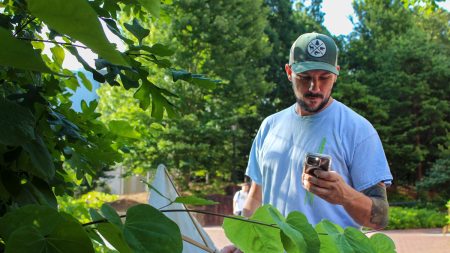 Alexander Smith inspects foliage