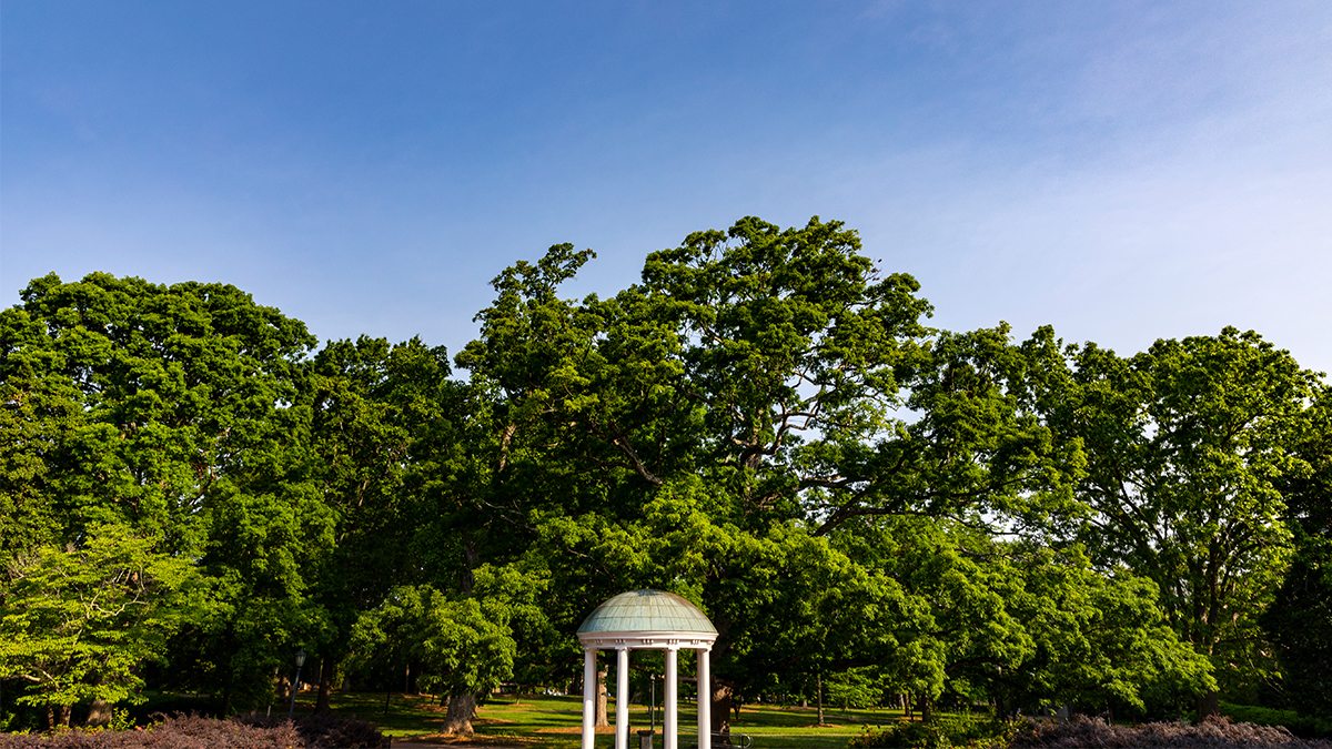 A wide shot photograph of tree surrounding the Old Well.