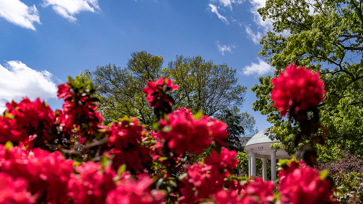 Flowers in front of Old Well