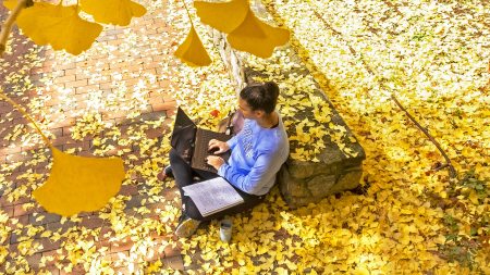 Student sitting and working on her laptop among yellow leaves on a brick pathway on the campus of UNC-Chapel Hill.