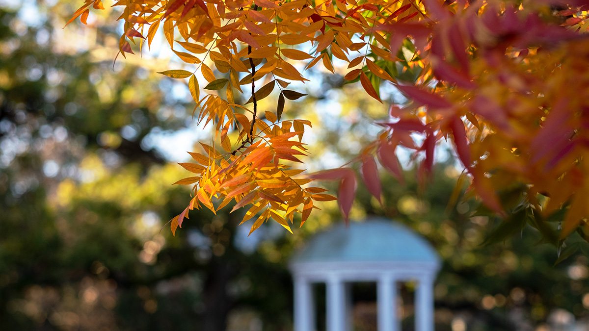 Autumn leaves in foreground with Old Well in background out of focus.