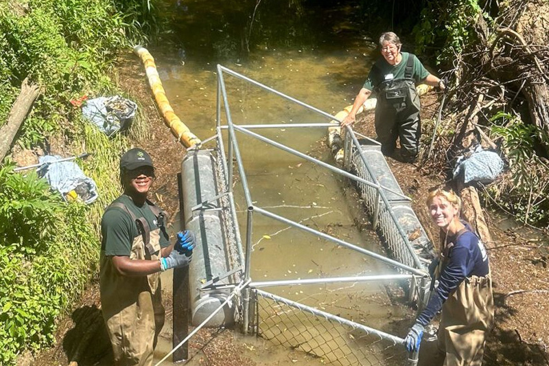 Eloise MacLean and two colleagues collecting samples at a river site.