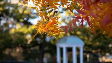 A photo of The Old Well in the background, slightly out of focus and leaves in the foreground.