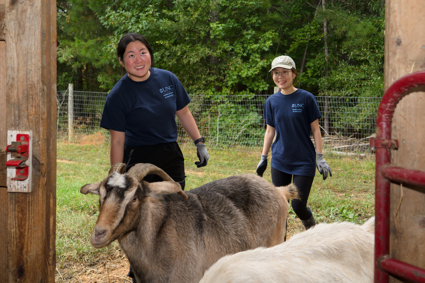 Students petting goats.