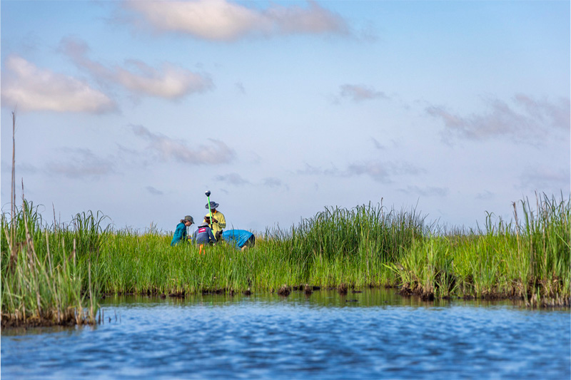 Four people in a marsh.