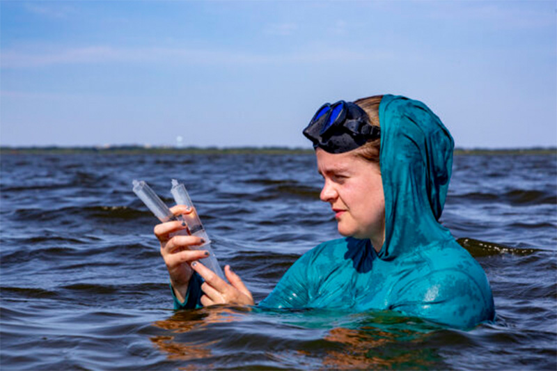 Peggy Mullin collects a water sample.