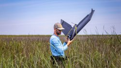 A man carries a drone out of a marsh.