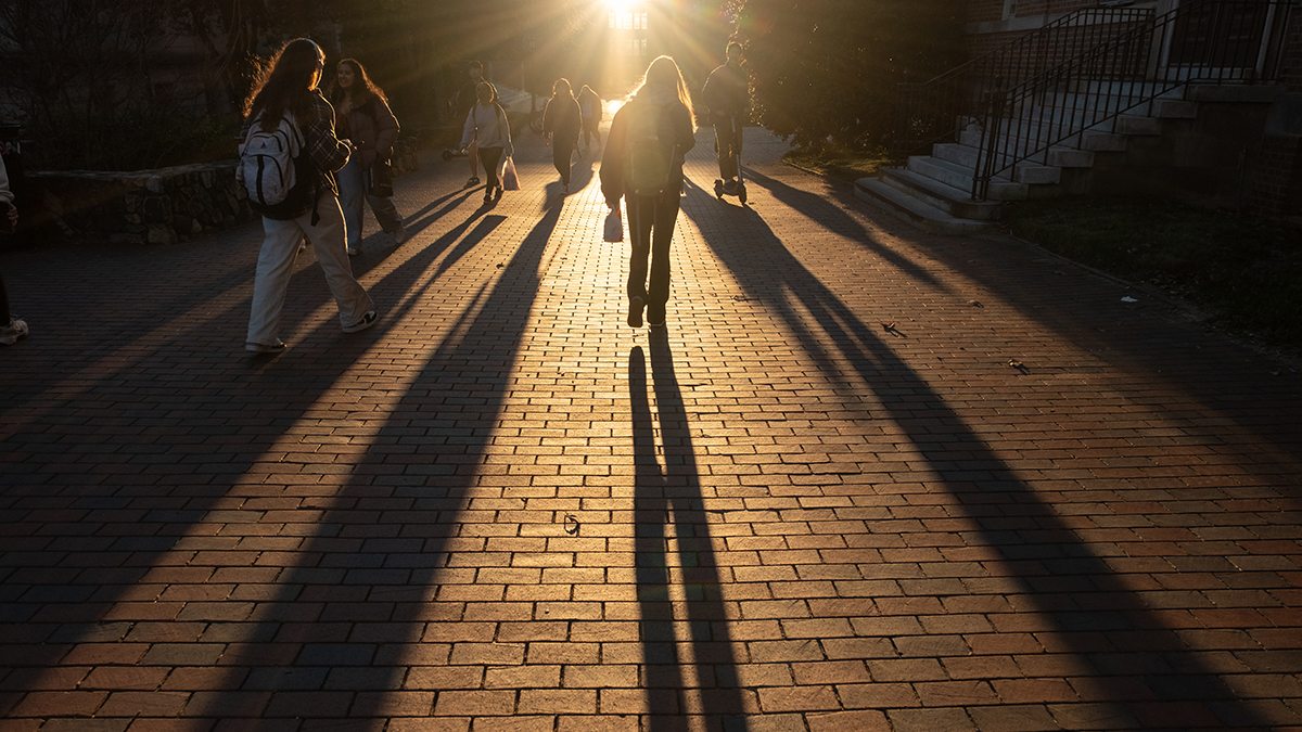 Shadows on campus as students walk along pathways