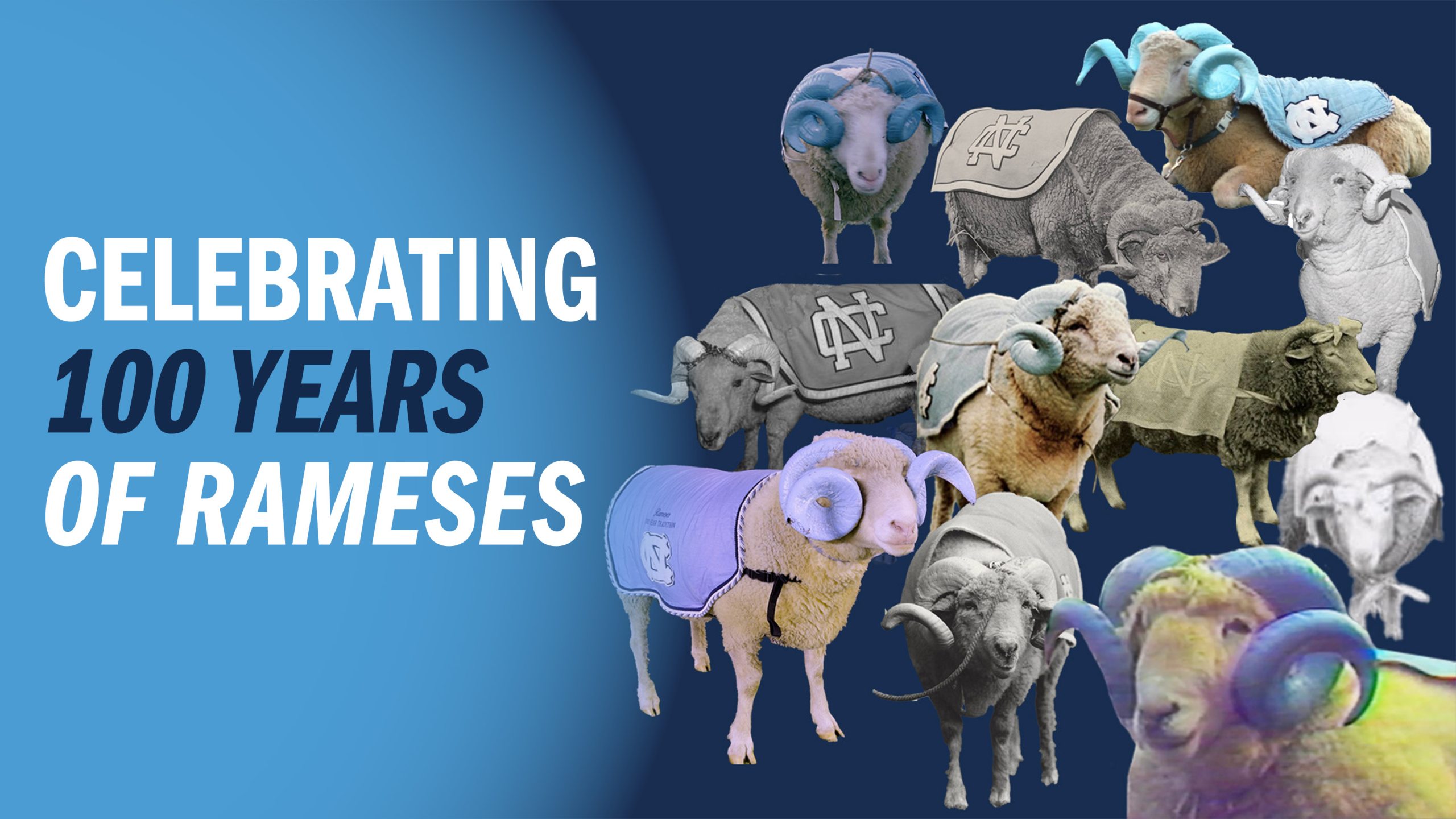 Collage of various iterations of Rameses the mascot, next to text that says 